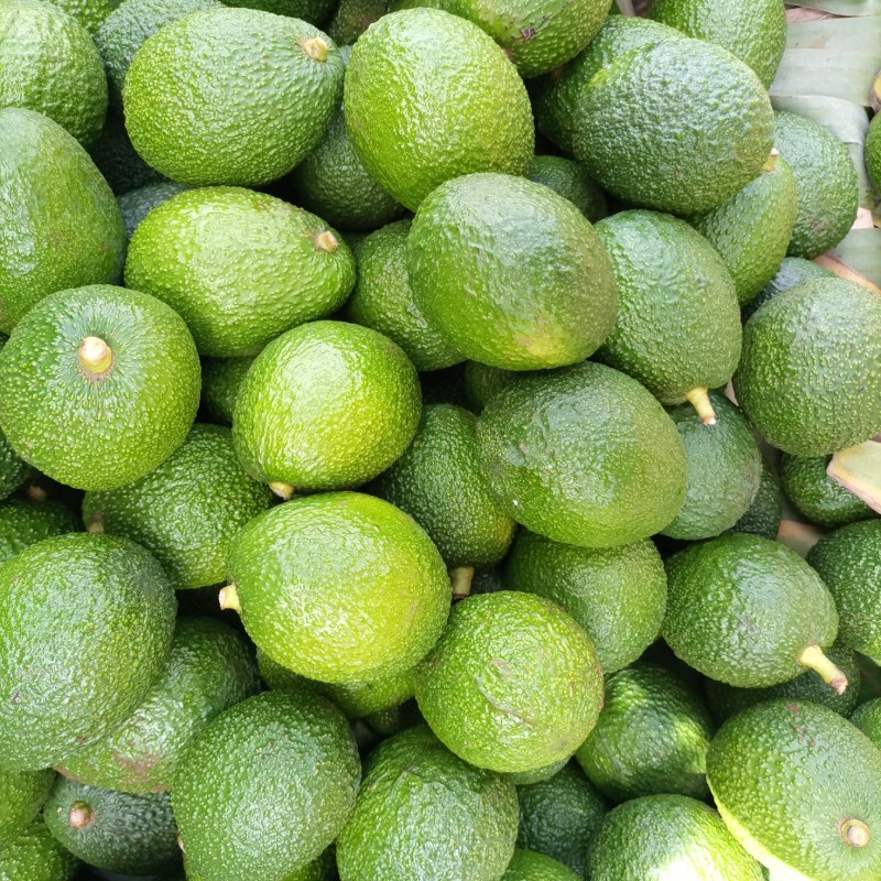 Hass Avocados from Kenya